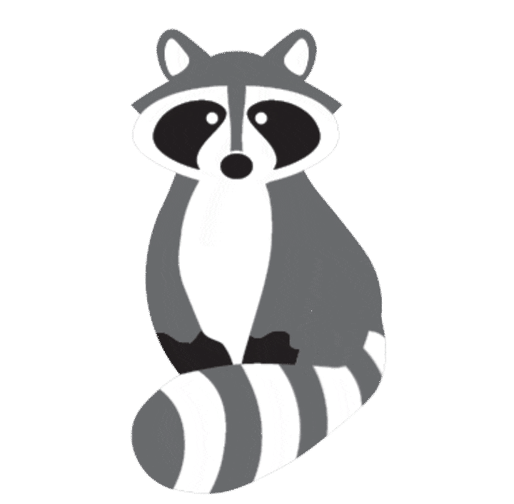 Racoon mascot for Skedaddle franchise.