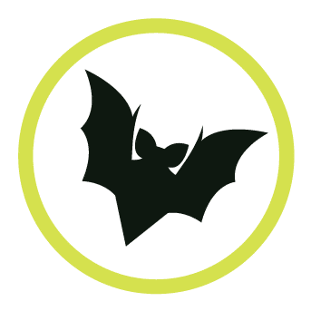 Skedaddle Pest Control Business Franchise Operations Manager Julian Ames