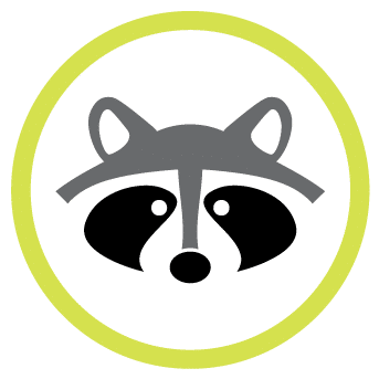 Skedaddle wildlife control franchise helps with racoon infestations.