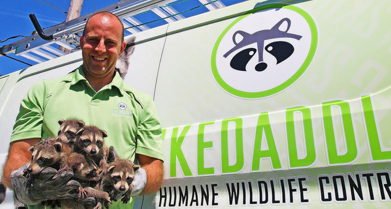 humane wildlife control franchise