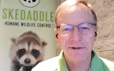 Wildlife Control Franchise CEO Shares Insider Tips for Success