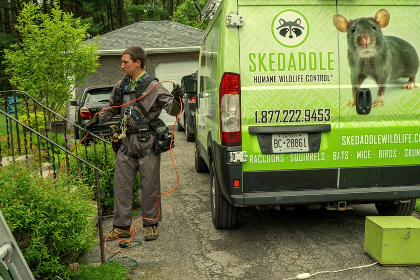Skedaddle_no-experience-needed-pest-control-franchise