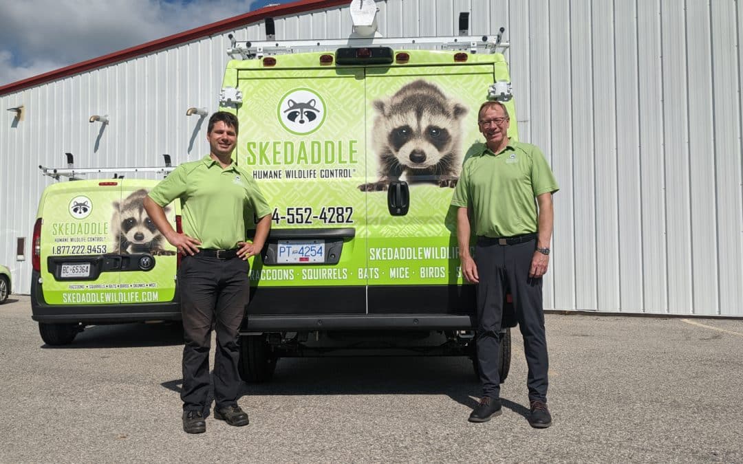 Trap Animals, Not Yourself: Owning a Skedaddle Franchise!