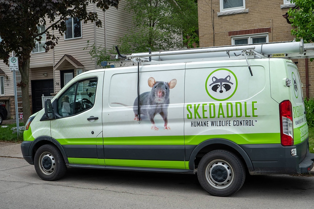 Winterize Your House - Skedaddle, Humane Wildlife Removal 1