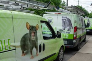 Skedaddle Humane Wildlife Control Franchise Gallery - 5