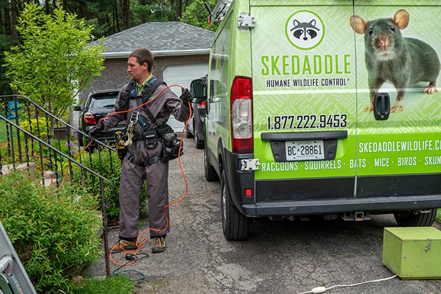 Why Customers Choose Skedaddle Over the Competition & How it Benefits Owners’ Bottom Line